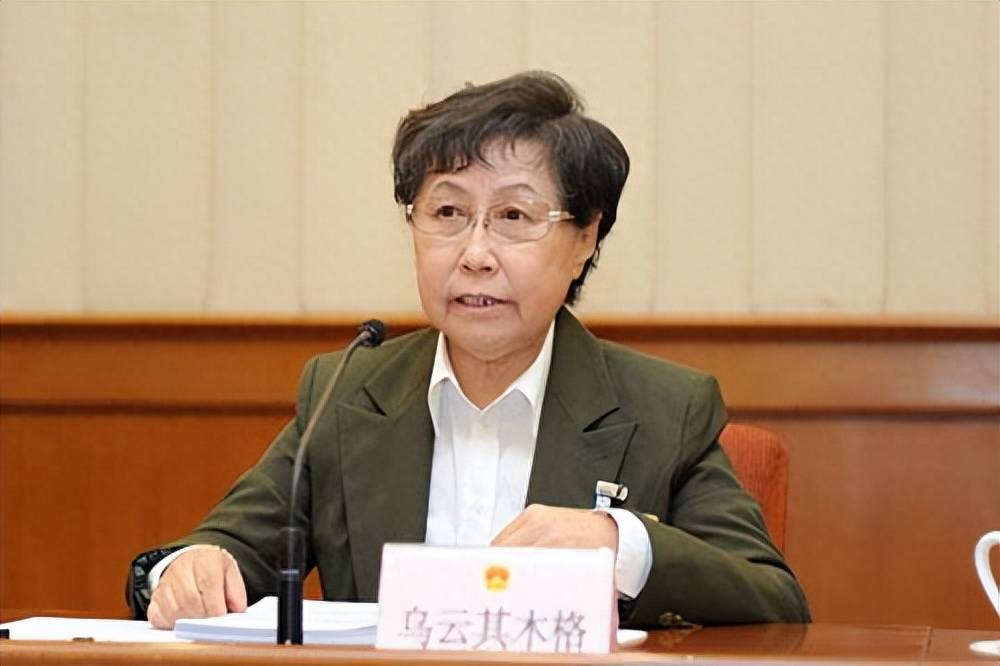 她是新中国第二位"女省长",59岁主政内蒙古,61岁官至副国级_投资_工作