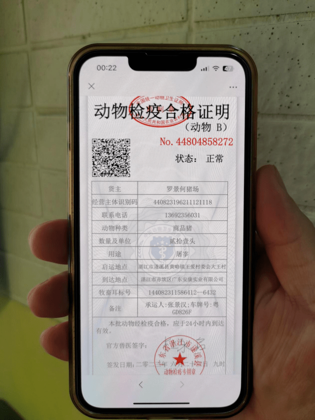 动物检验检疫证明图片