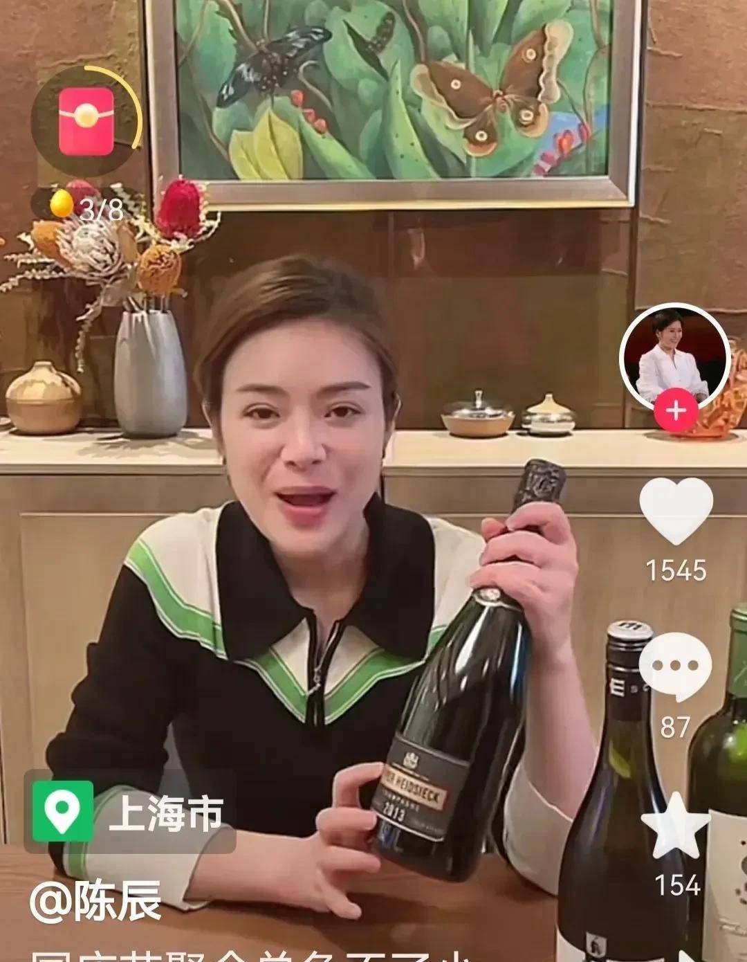 多年后东视女主持,陈辰已经开始微整形,豆豆淡出,陈蓉已成导演_节目