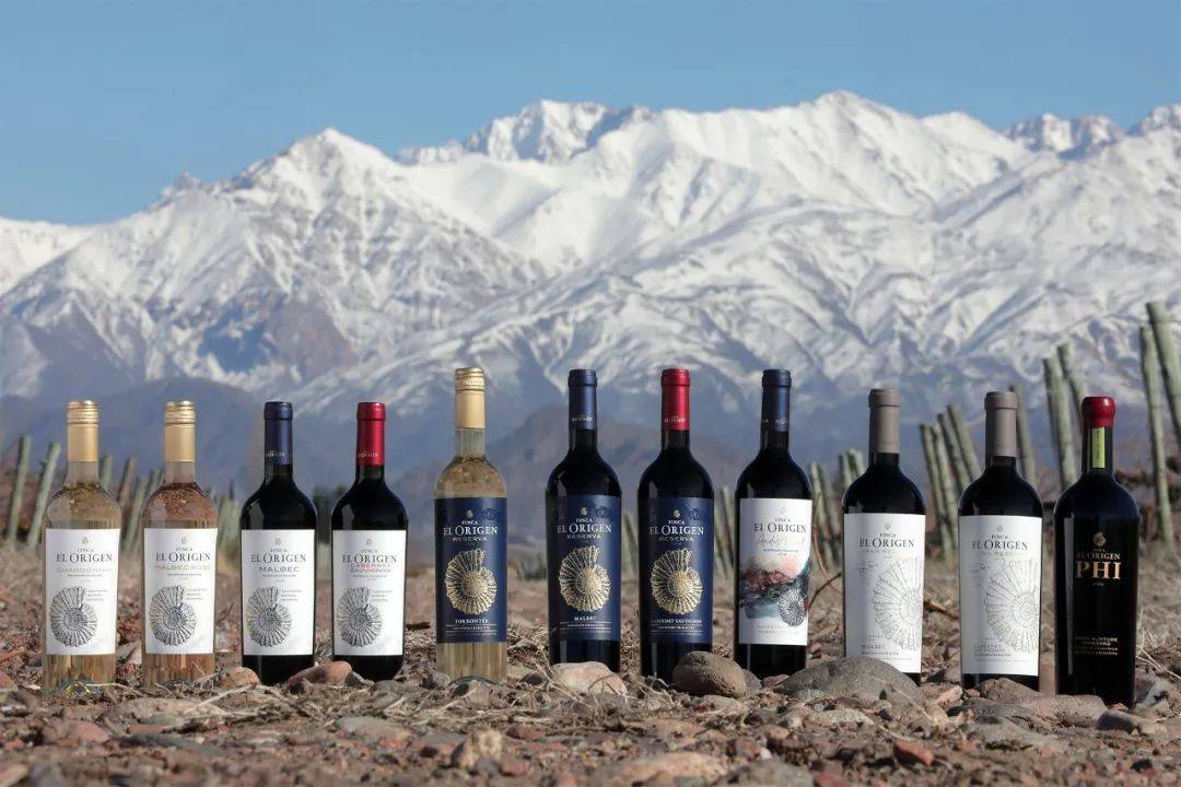 来听听帅哥酿酒师怎么说_阿根廷_酒庄_葡萄园
