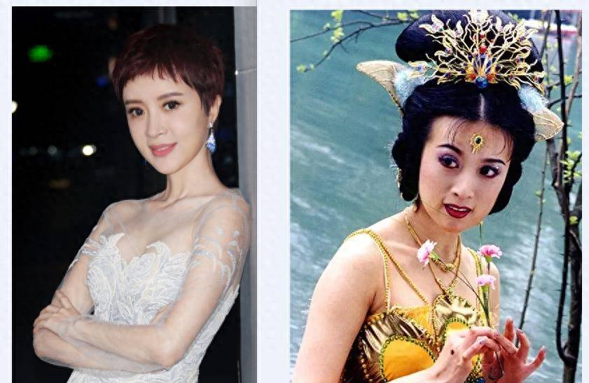 48岁金巧巧演"少妇"被3个男主争抢,刘晓庆蒋雯丽都没这么离谱_角色