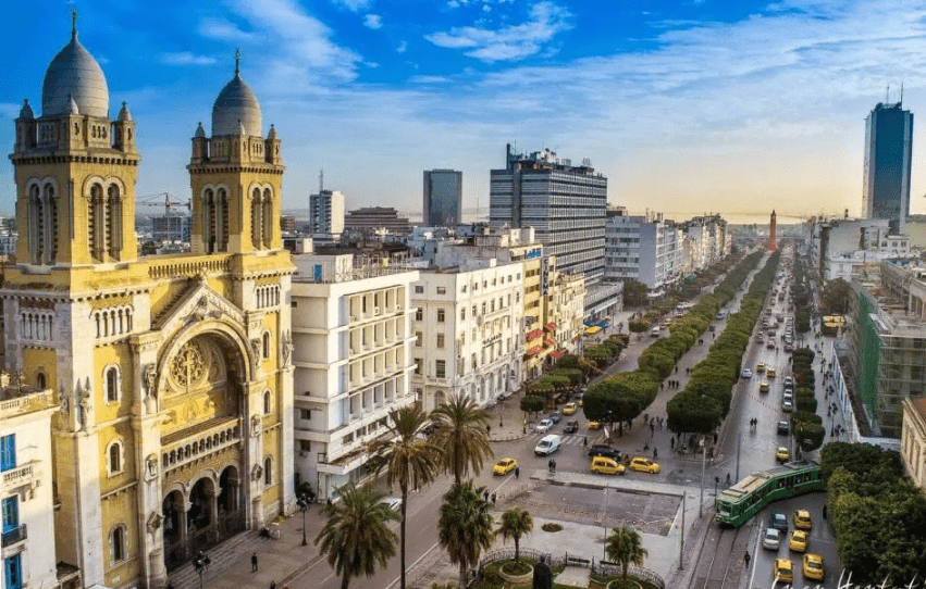 每天了解一个国家—突尼斯_政治_阿里_统治