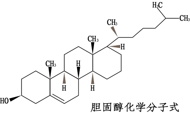 殼聚糖及其衍生物和殼寡糖在各個領域的應用和功效_調節_植物_作用