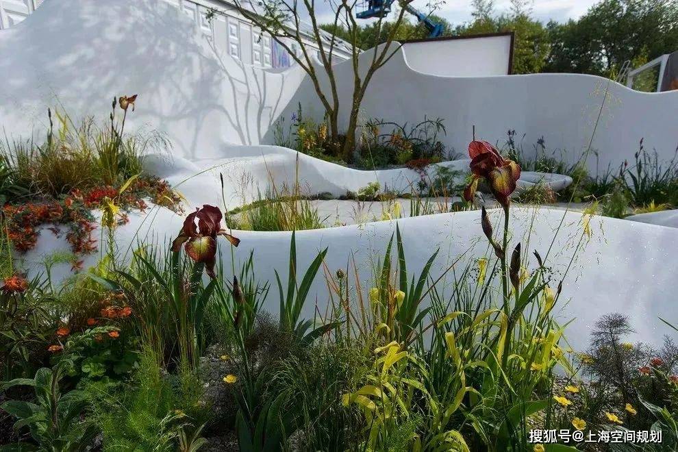 城市话题|"从心到身"自然景观的治愈秘籍,带你走近疗愈景观设计_康复