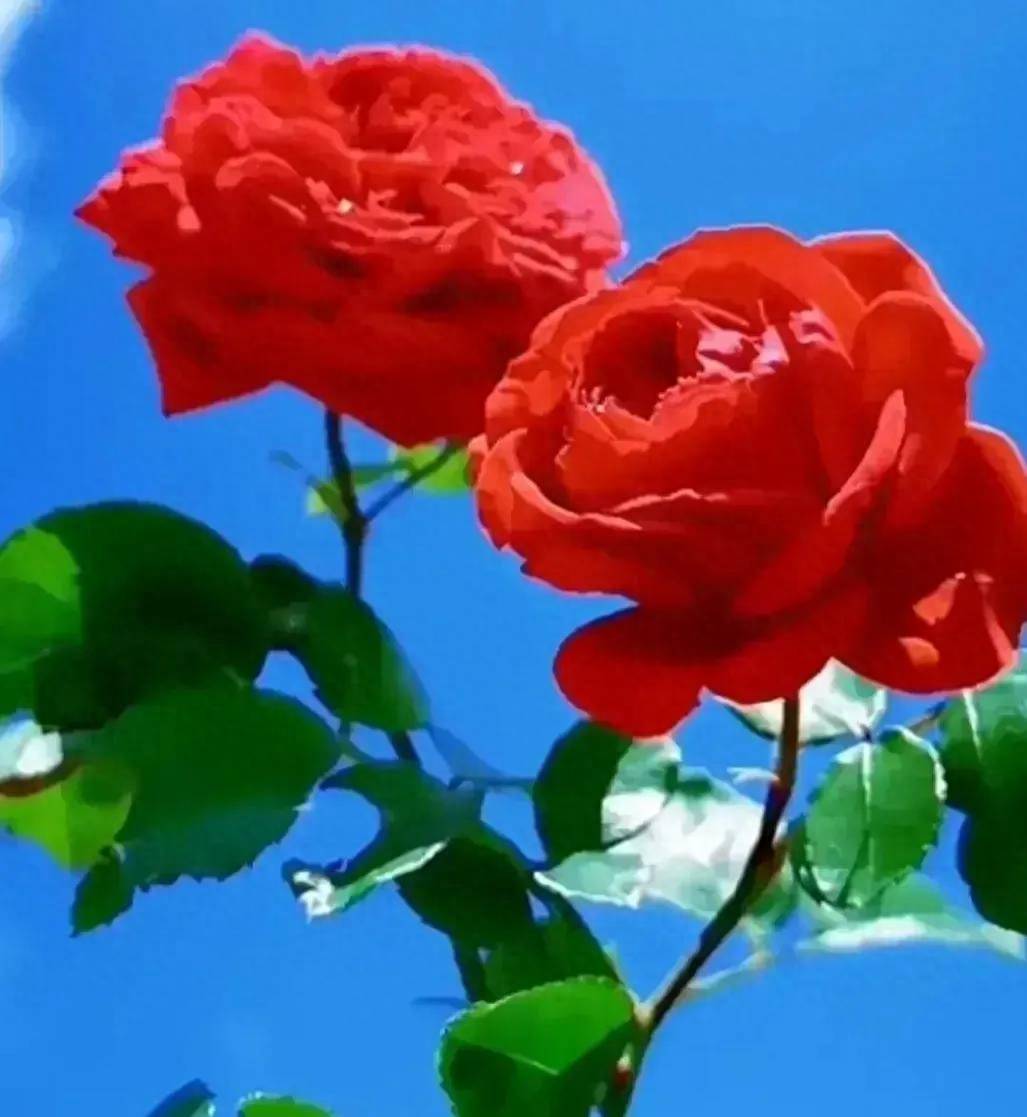 生活_一个人_运气