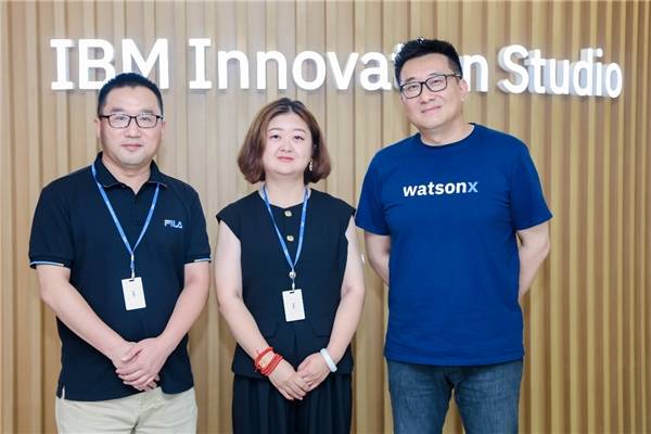 ibm watsonx:开启企业ai之门的独特机遇_应用_模型_数据
