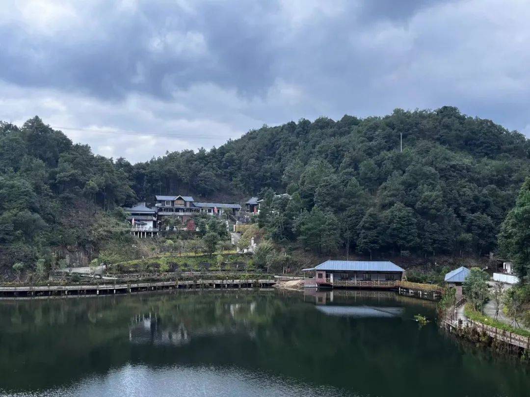 岩山镇发展特色民宿 激活乡村振兴新动能_旅游_康养_生态