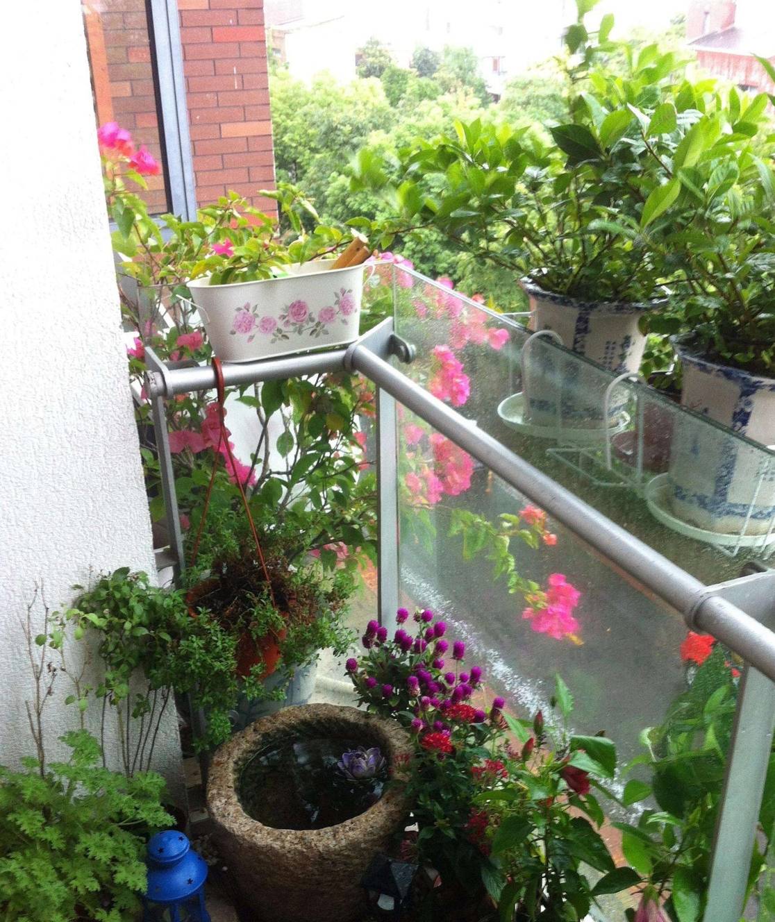 老农制作的小"花架",不仅养花省地方,摆在家里还十分"养眼"_花花_阳台