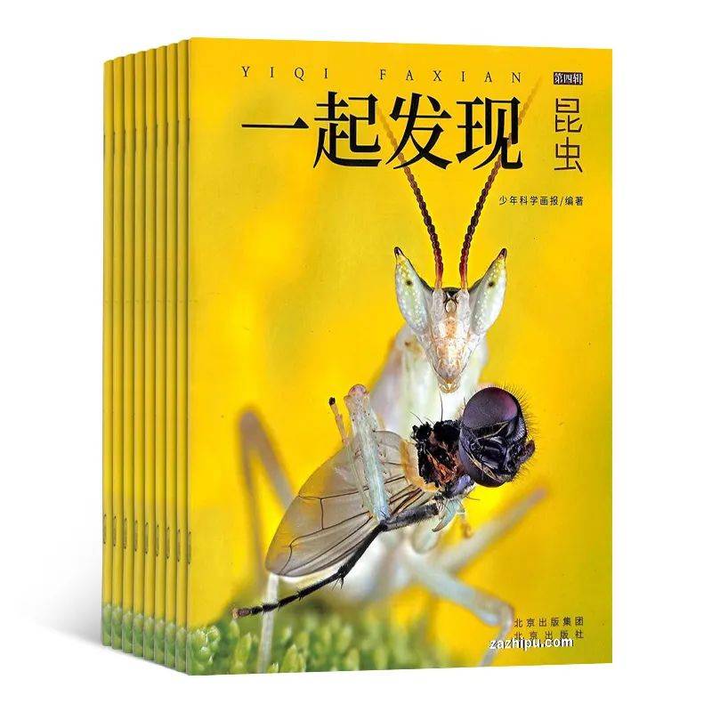 小学1-6年级必读书单_适合四年级孩子看的课外书_小学阅读启蒙重要性