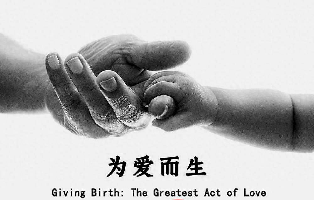 张恒胜诉抚养权案,并发表长文道歉,陈述自己和郑爽在这场官司中各自的