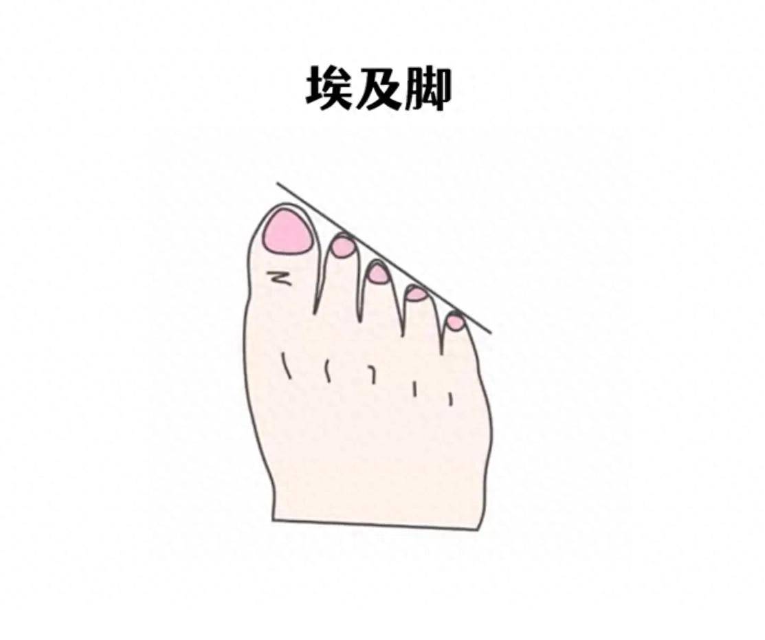 看看你的脚是不是招财_脚型_希腊_日耳曼