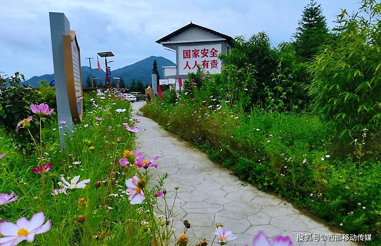 彝良县龙海镇打造绿美村庄 ,促进城乡融合发展_绿化_建设_自然村