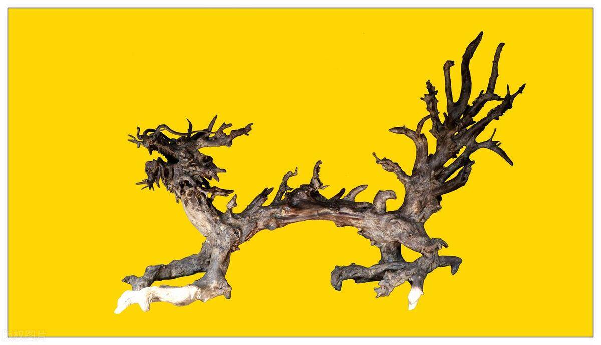 胶东非遗:牟平根艺_自然_作品_树根