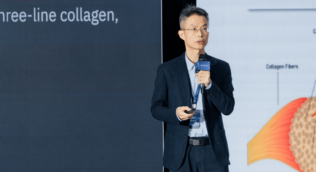 丸美生物的新大陆原创