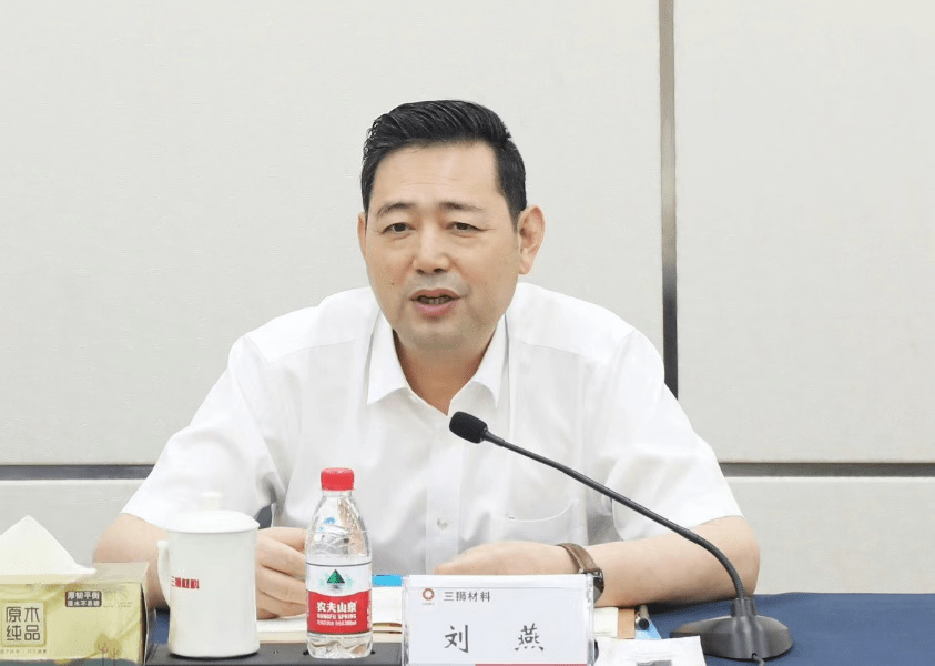 中国建材股份党委副书记,新天山水泥董事长刘燕一行赴三狮材料调研_建