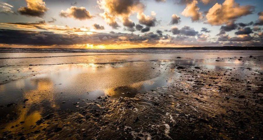 头部家电企业正在退出一些品类的竞争-家电圈官网