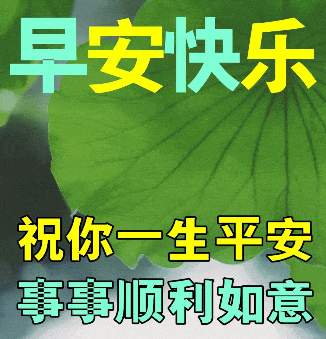 最新早上好动态表情图片带祝福语,早晨好动图美图大全_生活_人生_心情