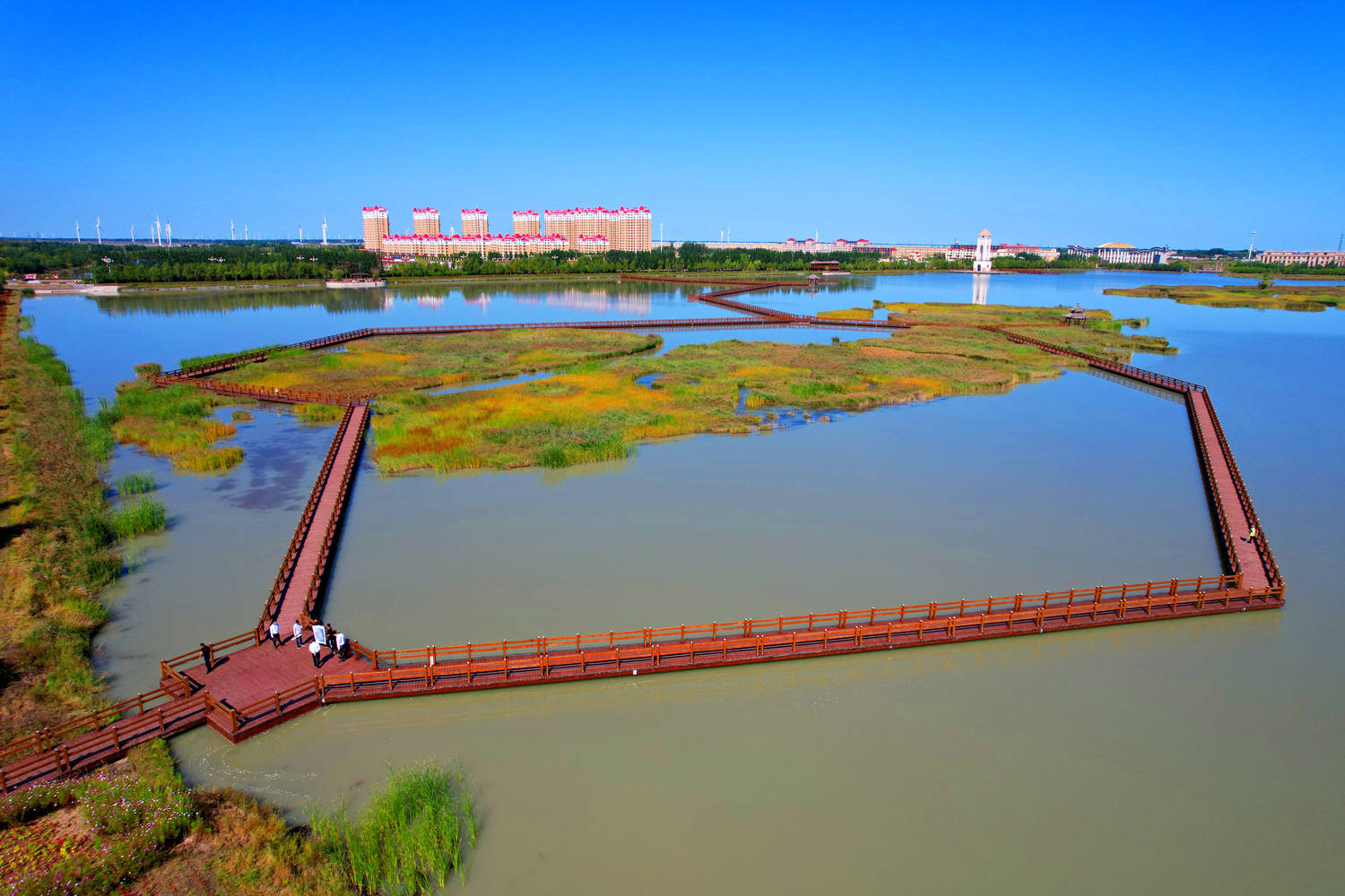 今年以来,白城市启动了2023年乡村旅游季系列活动,通榆县包拉温都杏花