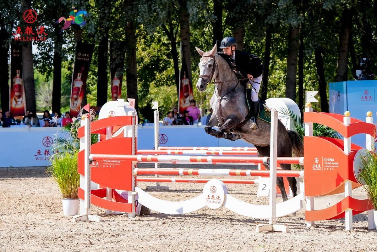 中国年青马大赛来袭 看五粮液携手花式整活儿_马术_运动_赛事