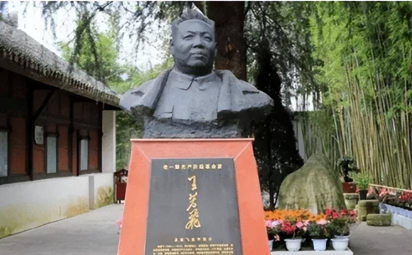 1946年王若飞不幸坠机逝世,50年后特务临终坦白:我用磁铁干的_蒋介石