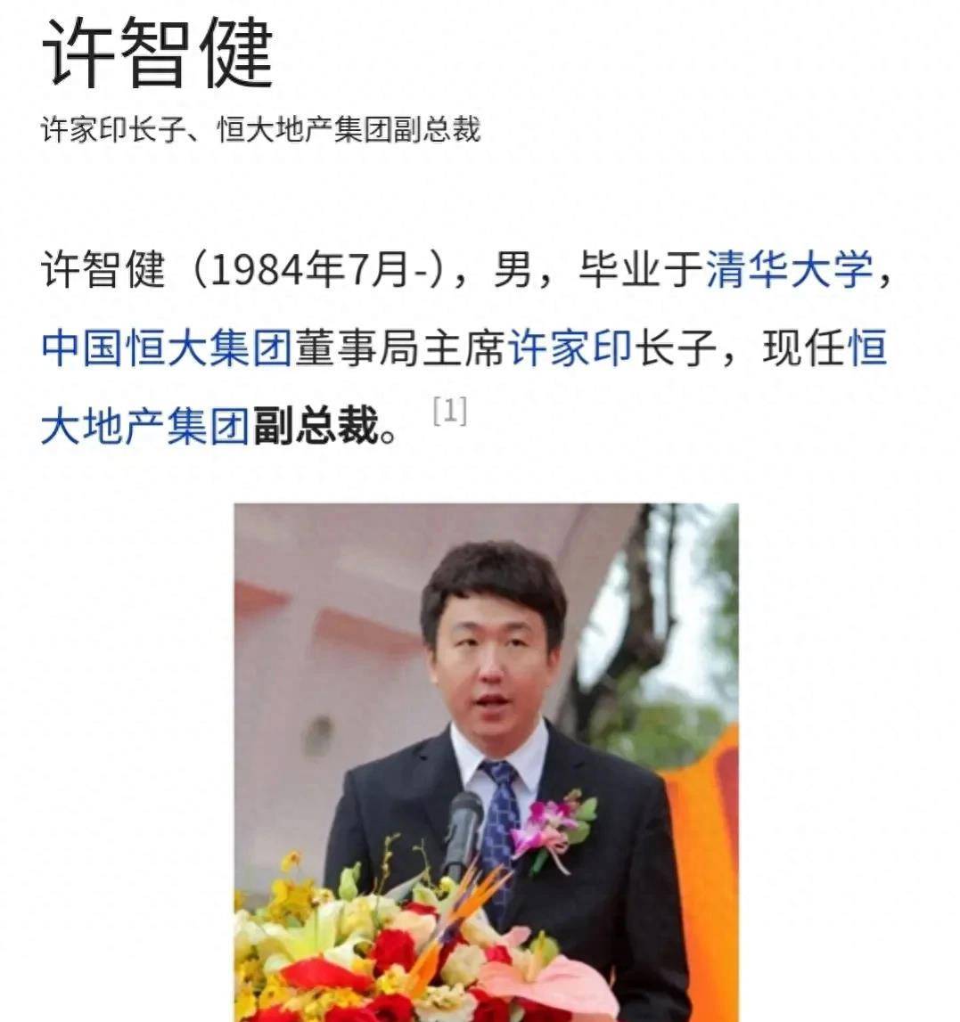 许熙芸_公司_儿子