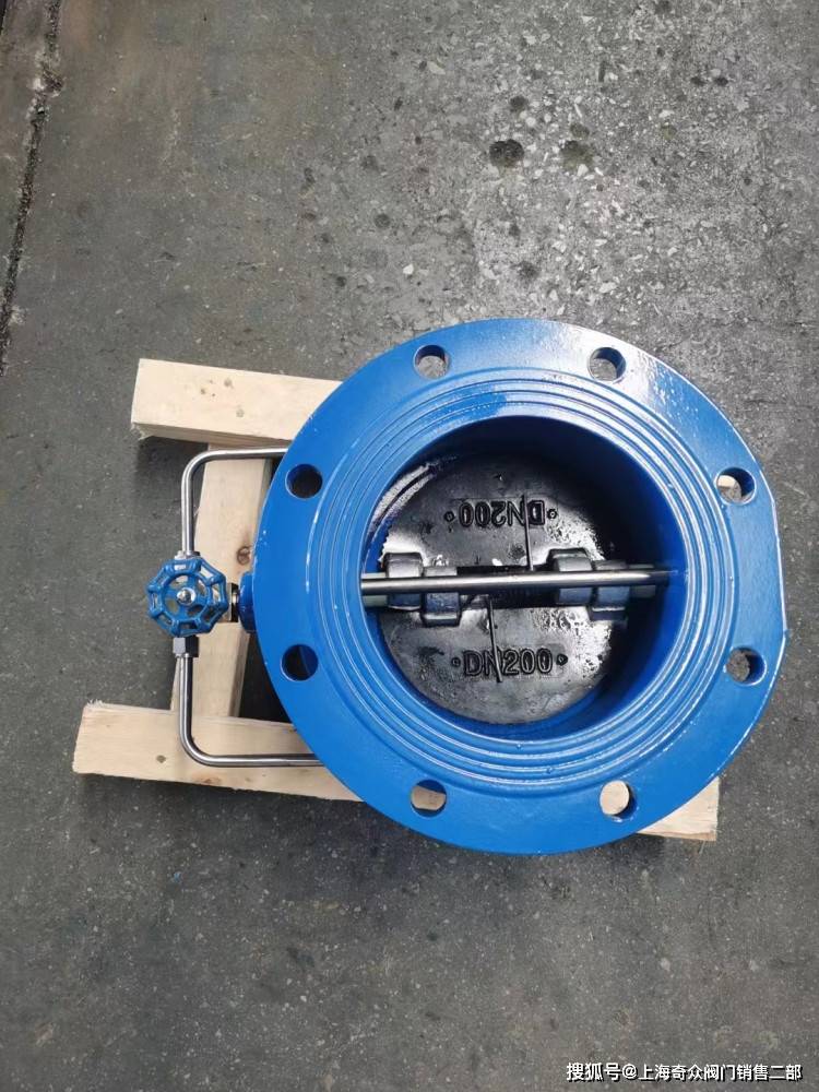 水务蝶式微阻缓闭止回阀hh48x hh49x dn1200 dn1000 dn800_介质_管线