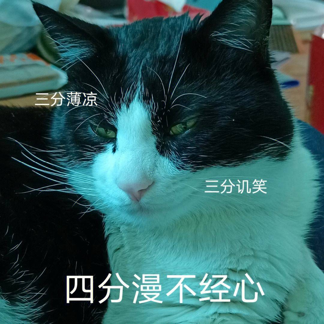 笑话十条:去闺蜜家玩,撞见闺蜜老公指着闺蜜的鼻子骂-搜狐大视野-搜狐新闻