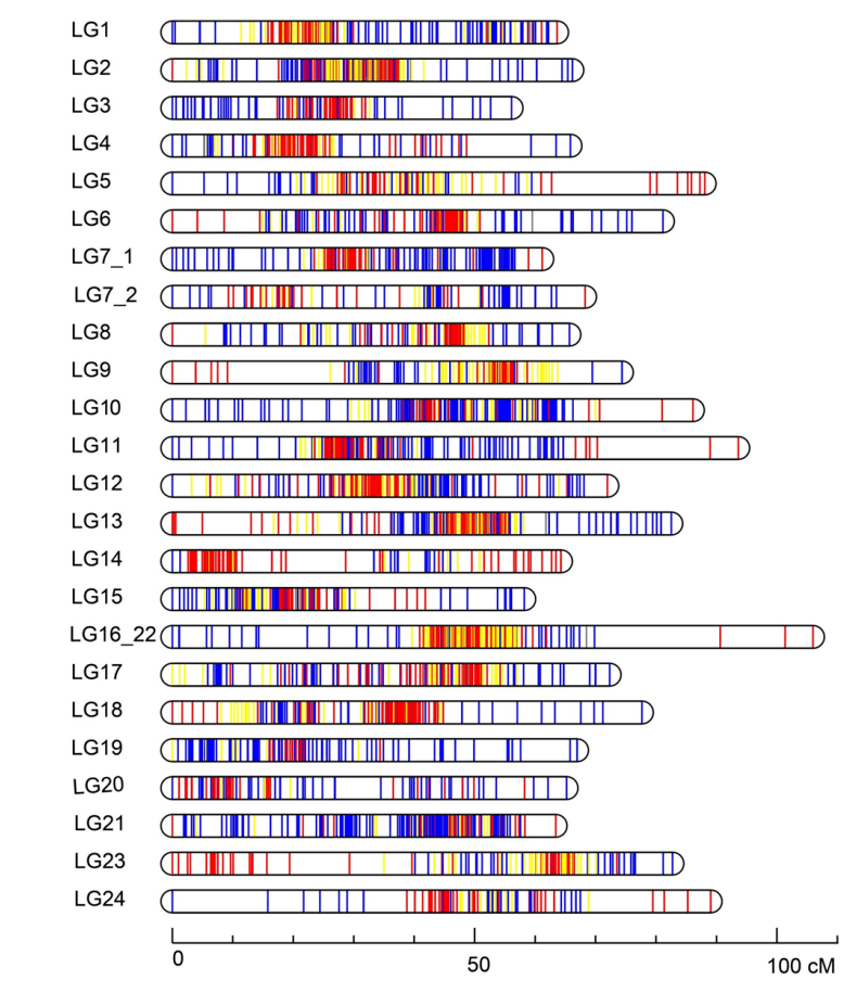 农业育种好策略:凌恩生物种质资源数字化全方位解决方案_遗传_研究