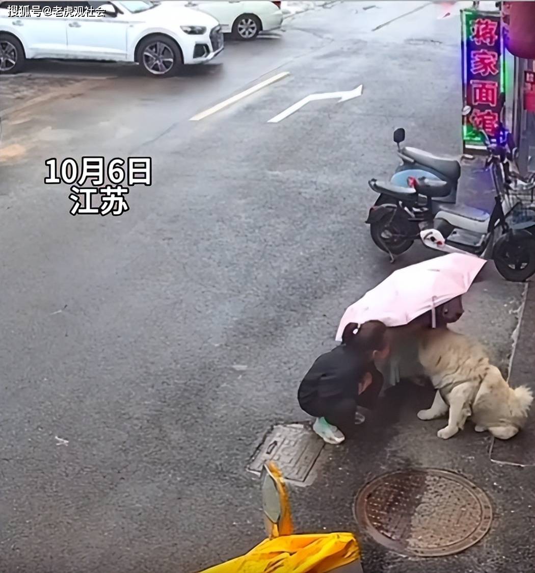 女子摸陌生狗面部惨遭撕咬,当场倒地痛苦哀嚎