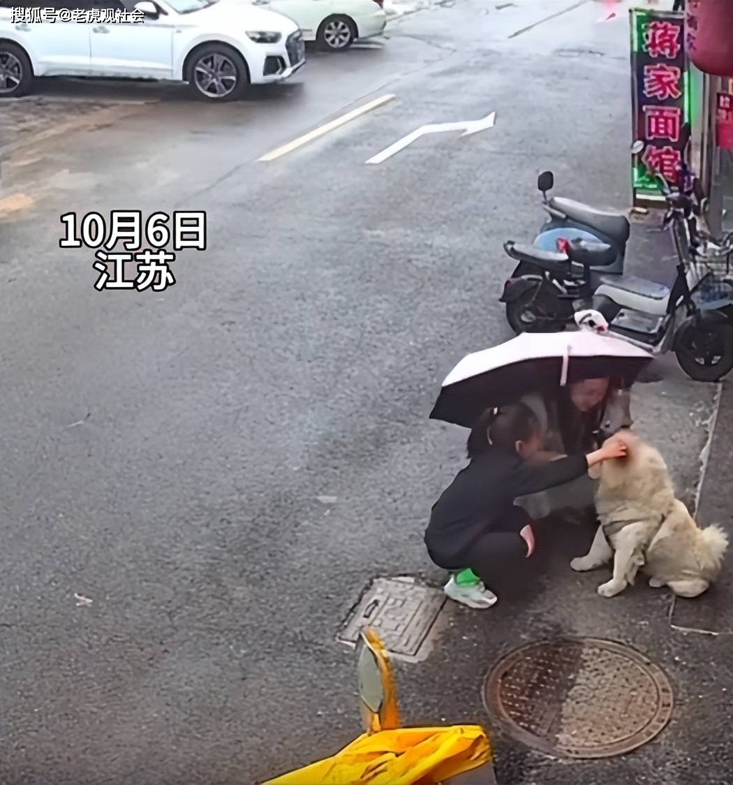 女子摸陌生狗面部惨遭撕咬,当场倒地痛苦哀嚎