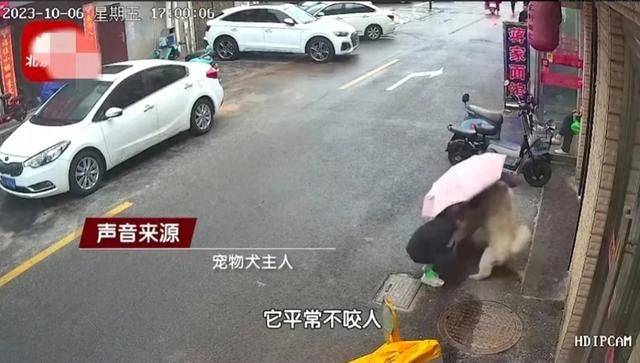 江苏盐城女子路边被宠物狗撕咬,脸部撕裂翻滚在地,双腿颤抖捂脸哀嚎