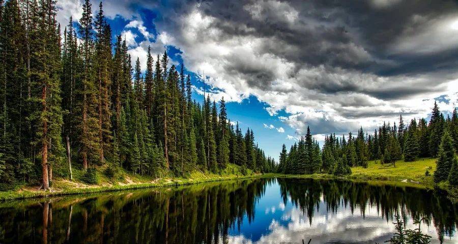 今年双11家电市场不只是启动早！-家电圈官网