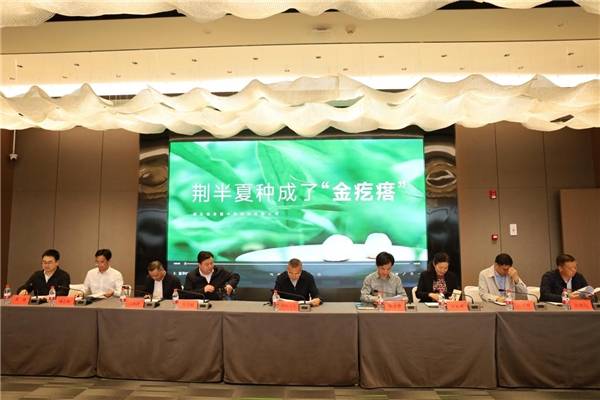 行业专家齐聚道地产区,科技赋能半夏产业协同发展_湖北省_种植_药材