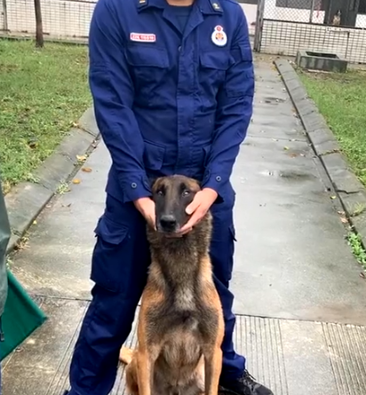 警犬体检，被吓得瑟瑟发抖，洋相百出，警犬：我也是个宝宝啊 
