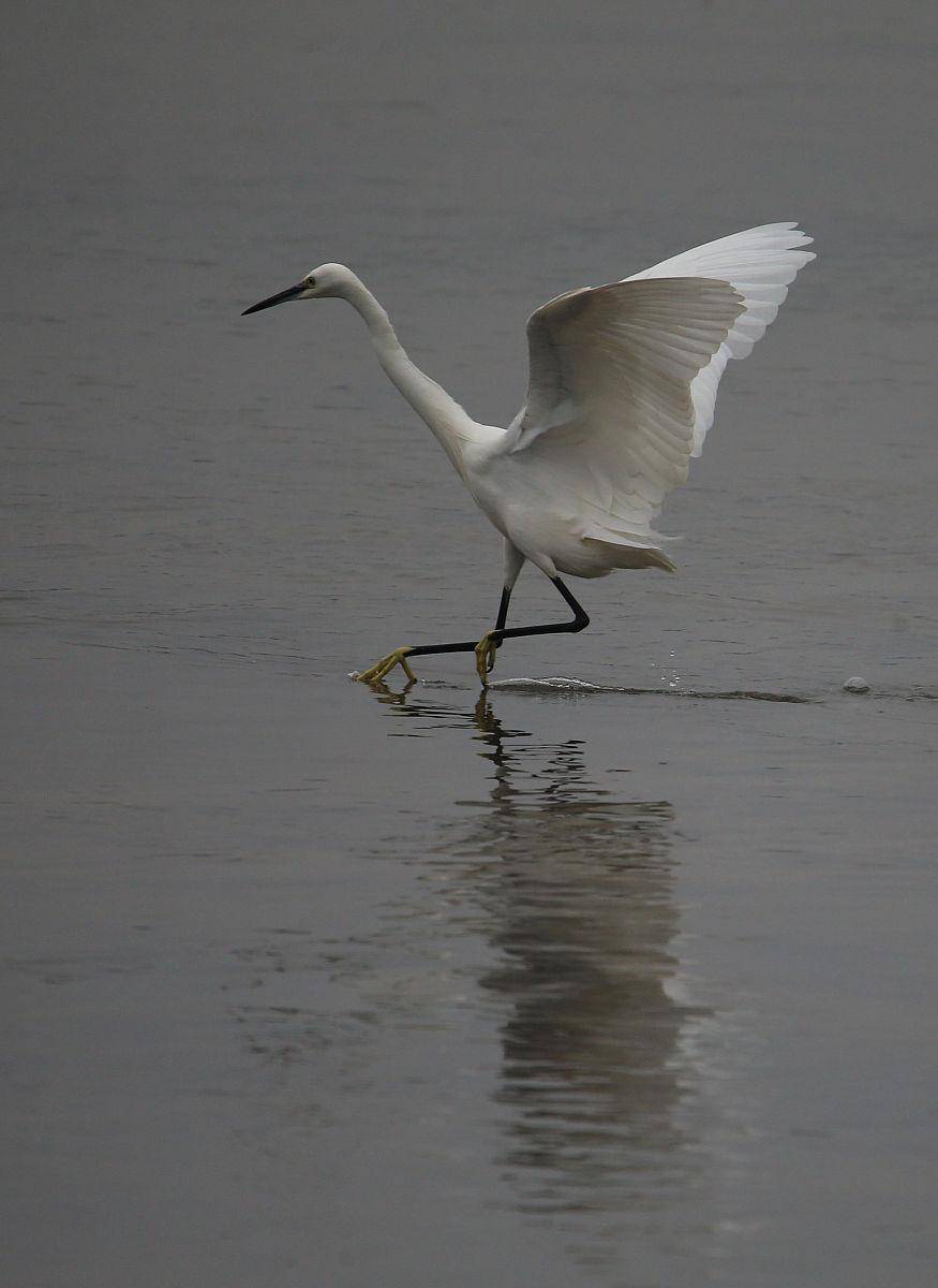 新安江水观坝引人入胜_坝上_历史_中国水电