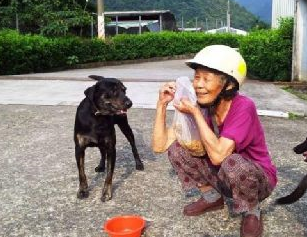 88岁老奶奶18年来不间断餵食流浪猫狗,只因不忍心它们挨饿 88岁老奶奶18年来不间断餵食流浪猫狗,只因不忍心它们挨饿
