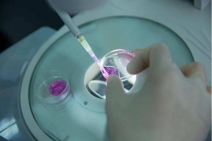 喜讯:优然牧业(09858)赛科星种公牛综合育种值又创新高达3170_高新