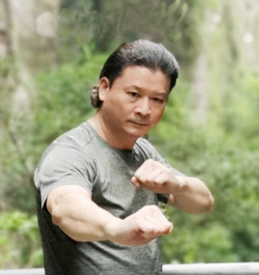 南拳王子:王文杰的武术传奇_瑞安市_中华民族_国际