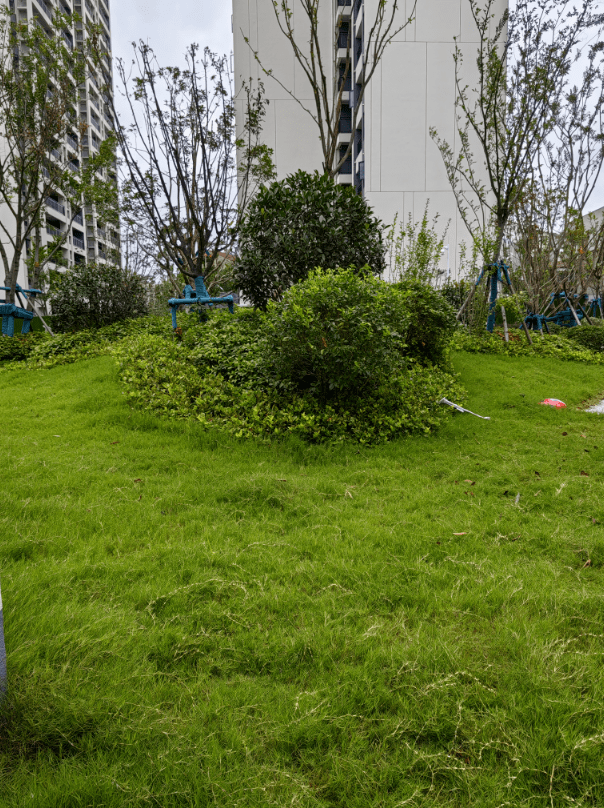 【售楼部】京山碧桂园云顶项目售楼处电话—售楼部—售楼中心地址—24