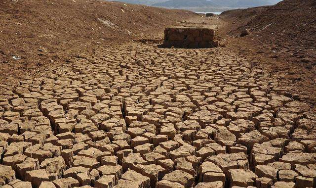 母亲饥饿,奄奄一息,十五岁儿子舍身救母,让母亲从此