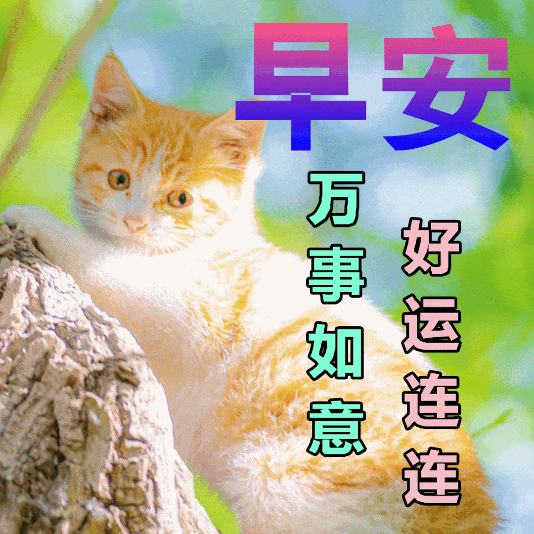 9张暖心早上好问候动态表情图片带字带祝福语 秋日清晨早安问候祝福语简短语句