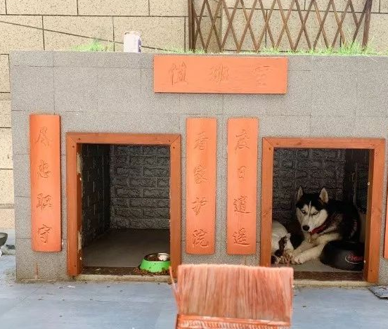 全网数万人出谋划策建狗窝,最后的"成品"是这样的……_网友_狗狗_新