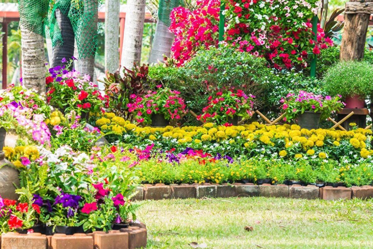 花卉园艺工证书怎么考?需要什么条件?