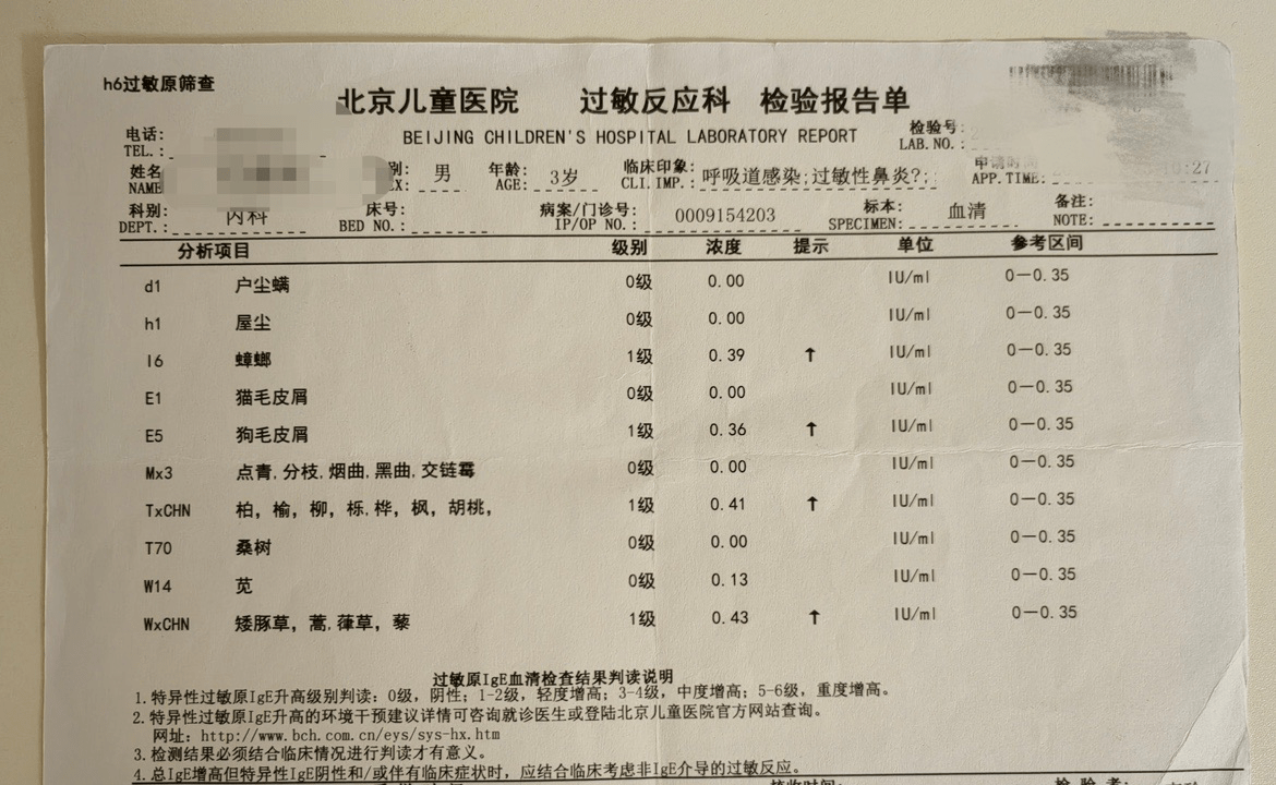 男童反复咳嗽半年竟是蟑螂过敏 天猫健康:蟑螂阳性率5%成常见过敏原第2