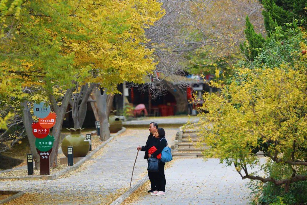 秋天,一定要去趟峄城青檀寺!_秋色_色彩_峡谷