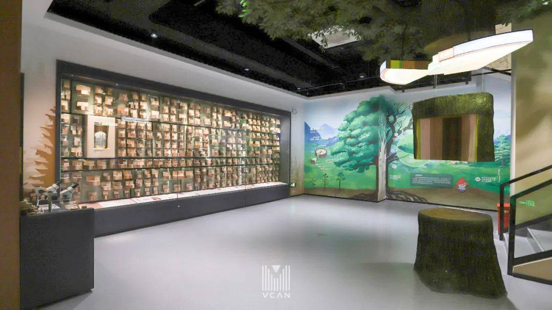 维迈作品 | 福建龙岩现代林业科技馆_生态_闽西_科普