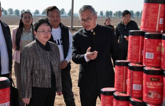 河南温县政府主办的张宝山霜降山药节圆满成功!_铁棍_产业_活动