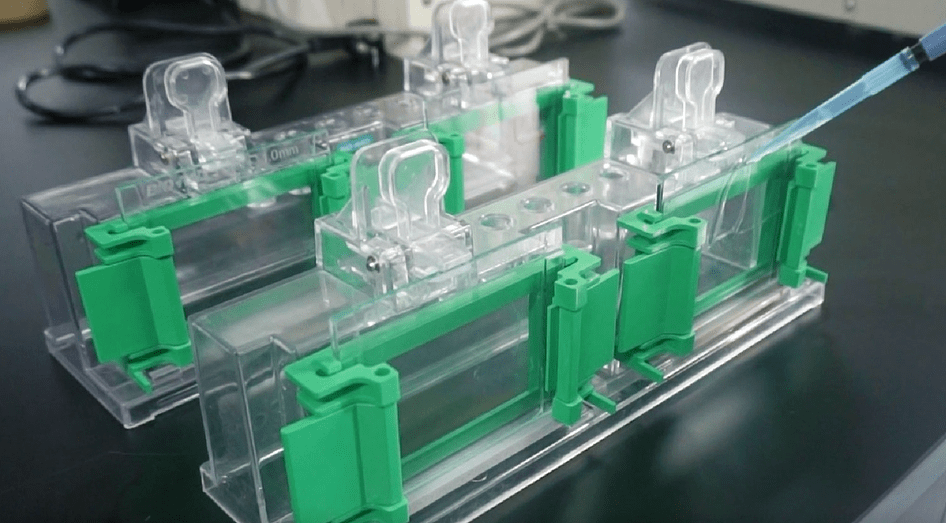 实操视频 | western blot实验步骤和过程细节_蛋白质_检测_min