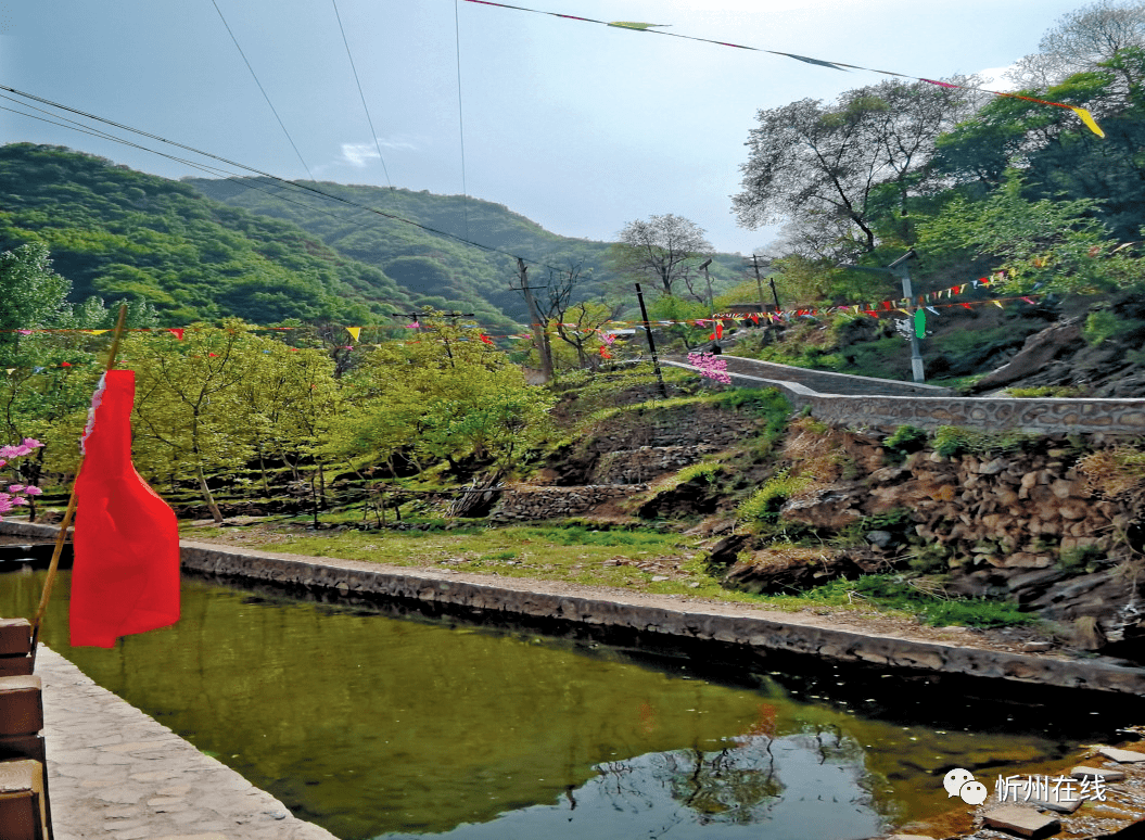 白玉溝是東峪景區的核心,美麗的旅遊公路直通溝底.