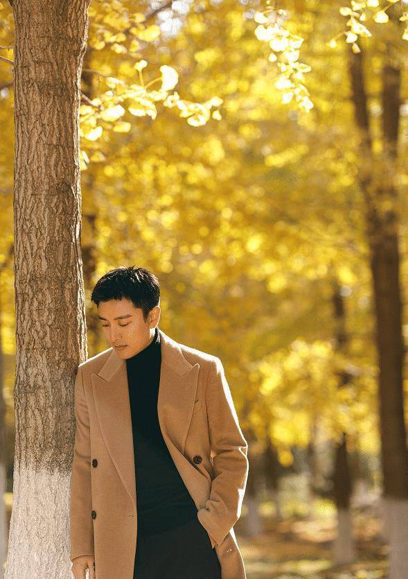 有种"整容"叫贾乃亮分手,如今瘦成国外欧巴,这究竟经历了啥_男艺人